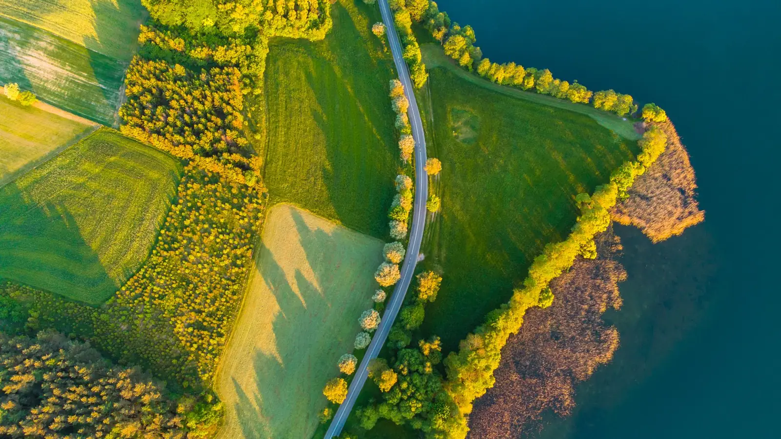 Aerial countryside, by Dawid Zawiła, on Pexels